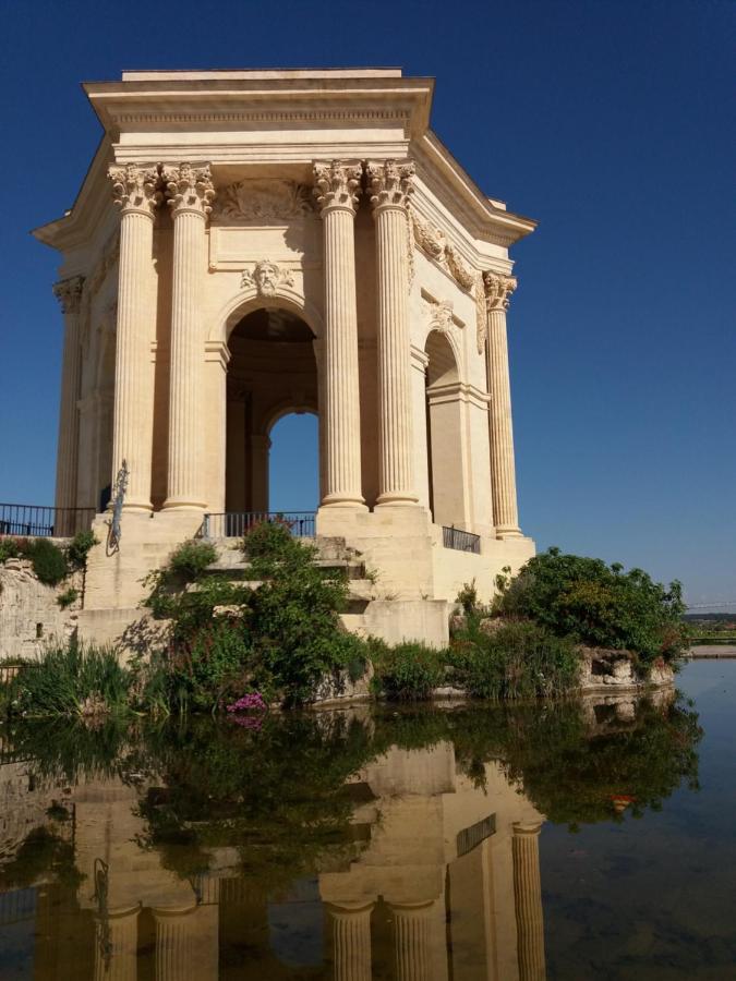 Un Oasis Au Coeur De La Vieille Ville, Classe 4 Etoiles Montpellier Exterior foto